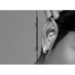 Striking Semi-Circular Titanium Earrings 