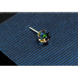Eye-catching Color Titanium Earrings