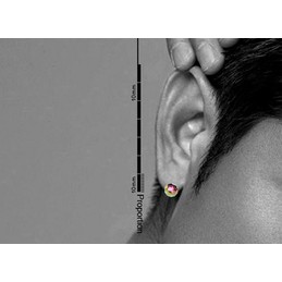 Eye-catching Color Titanium Earrings