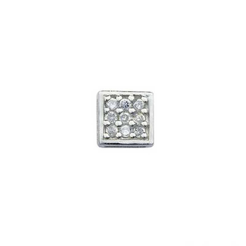Exquisite Style Box Titanium Earrings