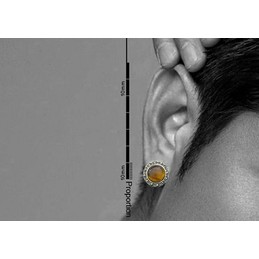 Majestic Tiger eyes-like Titanium Earrings