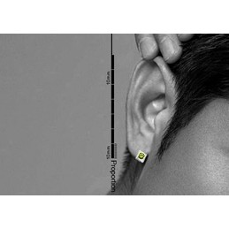 New Style Green Mile Titanium earrings