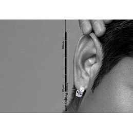 Chic Stars Hollow Titanium Earrings