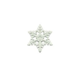 White Snowflake-shaped Titanium Earrings