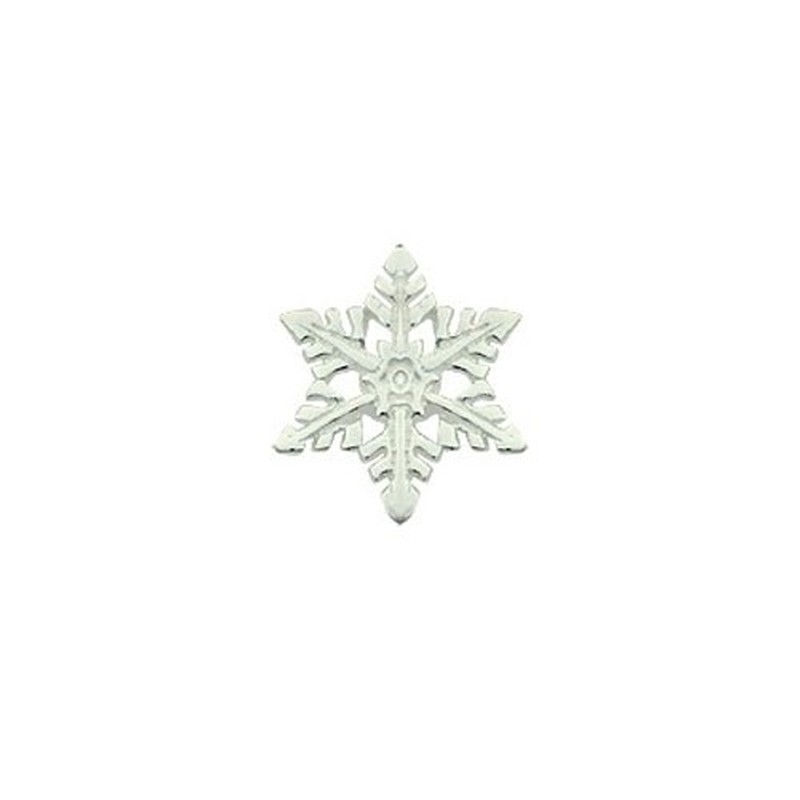 White Snowflake-shaped Titanium Earrings