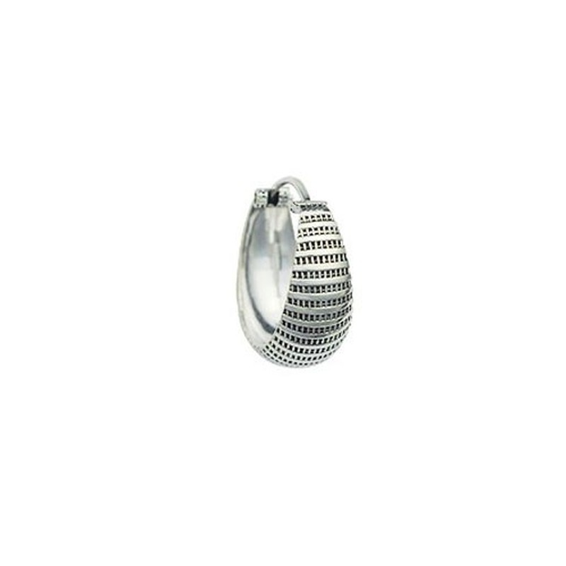 Beautiful With Stripes Titanium Earrings