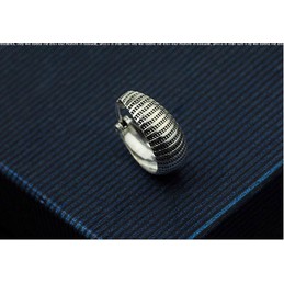 Beautiful With Stripes Titanium Earrings