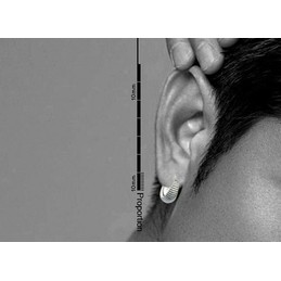 Beautiful With Stripes Titanium Earrings
