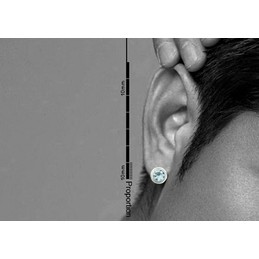 Crystal Clear Light Blue Titanium Earrings