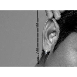 Cute Bear-shaped Titanium Earrings