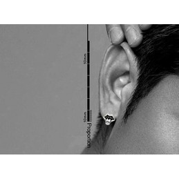 Tongue-shaped Titanium Earrings