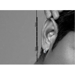 Fine Silver Ring Titanium Earrings 
