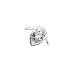 Lovely Flight Titanium Earrings