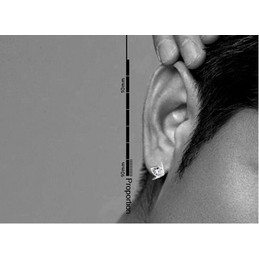 Lovely Flight Titanium Earrings