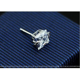 Personality White Titanium Earrings 