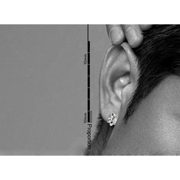 Personality White Titanium Earrings 