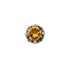 Noble Yellow Titanium Earrings 