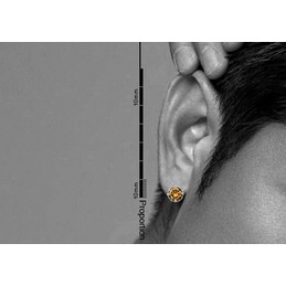 Noble Yellow Titanium Earrings 