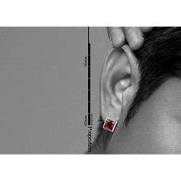 Beautiful Dark Red Square Titanium Earrings