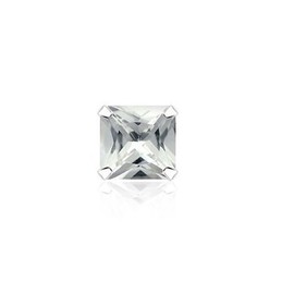Beautiful Sparkling Titanium Earrings