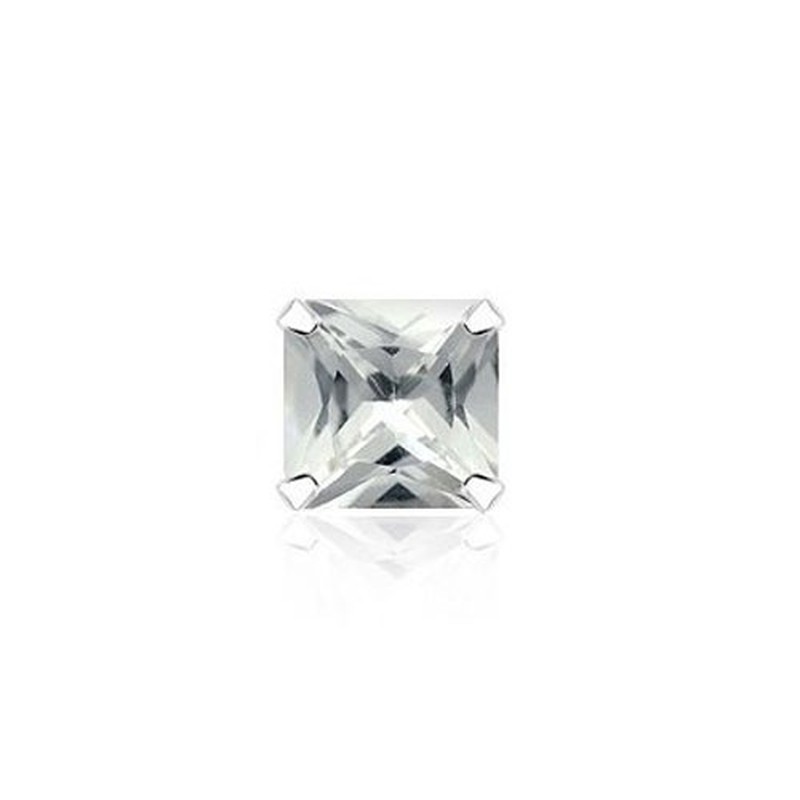 Beautiful Sparkling Titanium Earrings