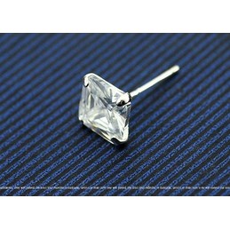 Beautiful Sparkling Titanium Earrings