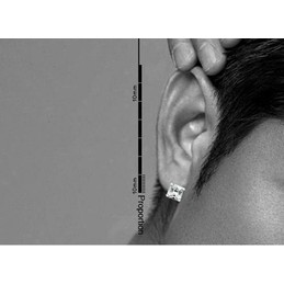 Beautiful Sparkling Titanium Earrings