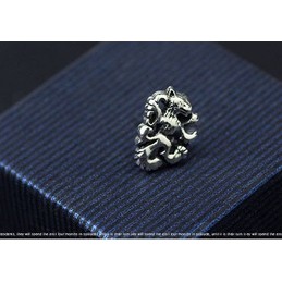 Bizarre Fashion Titanium Earrings