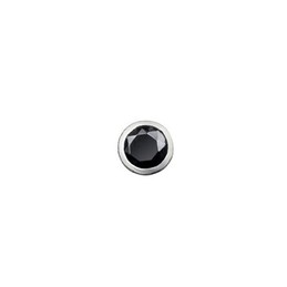 black Rimmed Titanium Earrings 