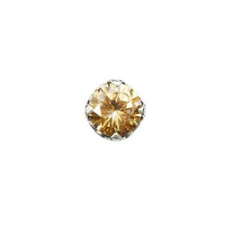 Attractive Light Yellow Titanium Earrings