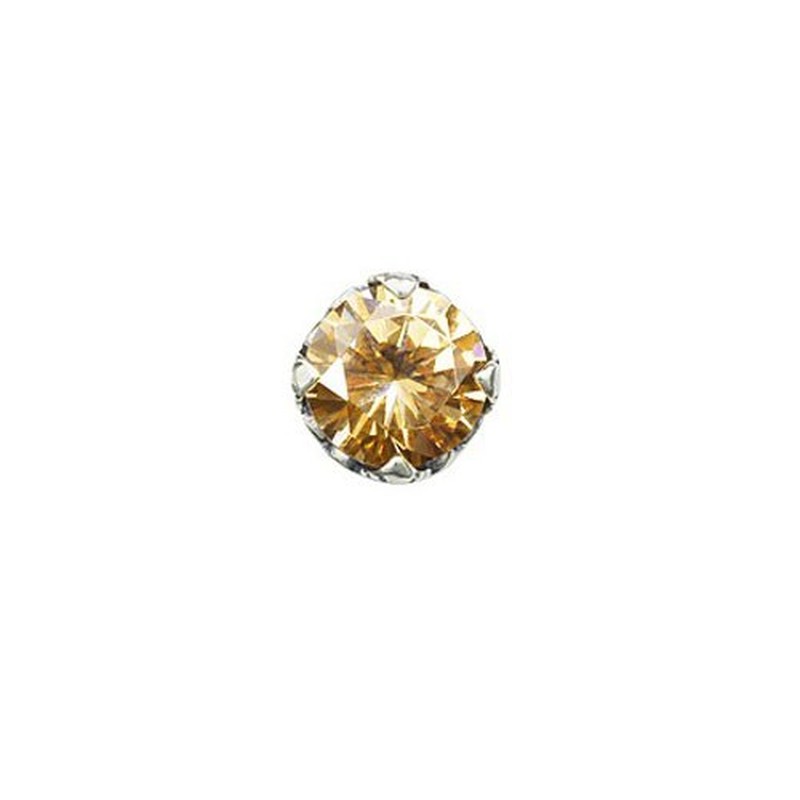 Attractive Light Yellow Titanium Earrings