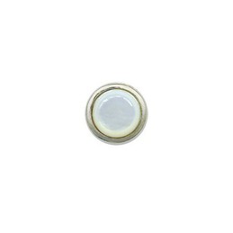 Delicate Shell-like Titanium Earrings