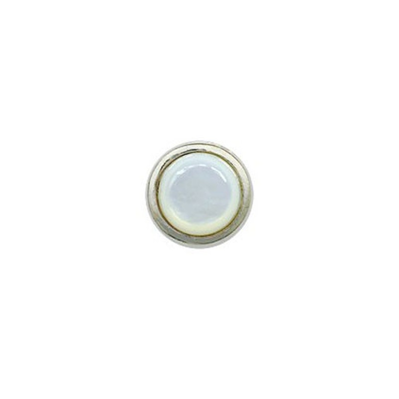 Delicate Shell-like Titanium Earrings