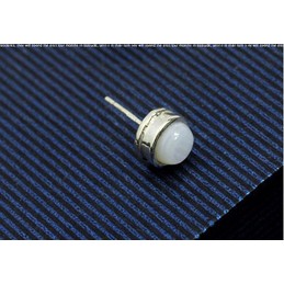 Delicate Shell-like Titanium Earrings