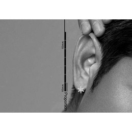 Sparkling Hexagonal Titanium Earrings