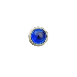 Blue Trimed Titanium Earrings