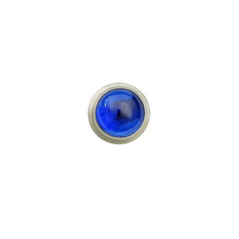 Blue Trimed Titanium Earrings