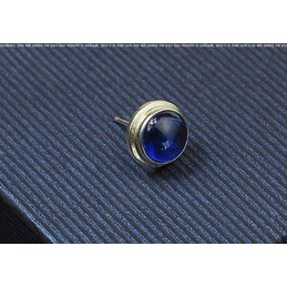 Blue Trimed Titanium Earrings