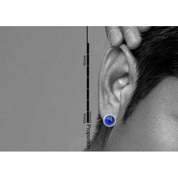 Blue Trimed Titanium Earrings