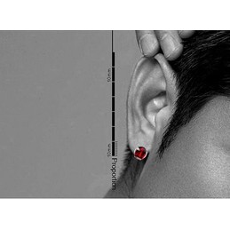 Blood Red Oval Titanium Earrings