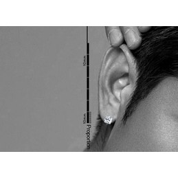 Pure White Square Titanium Earrings 