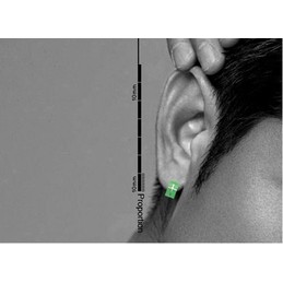 Distinguished Green Cross Earrings Titanium