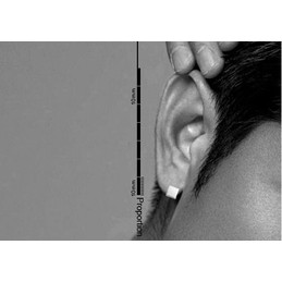 Cute Little Silver Box Titanium Earrings