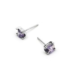 Gorgeous Purple Titanium Earrings