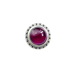 Beautiful Purple Oval Titanium Earrings