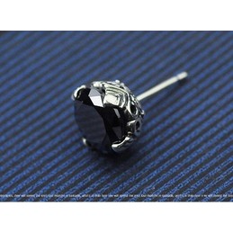 Distinguished Black Round Titanium Earrings 