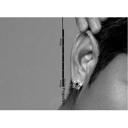 Black Flower Titanium Earrings