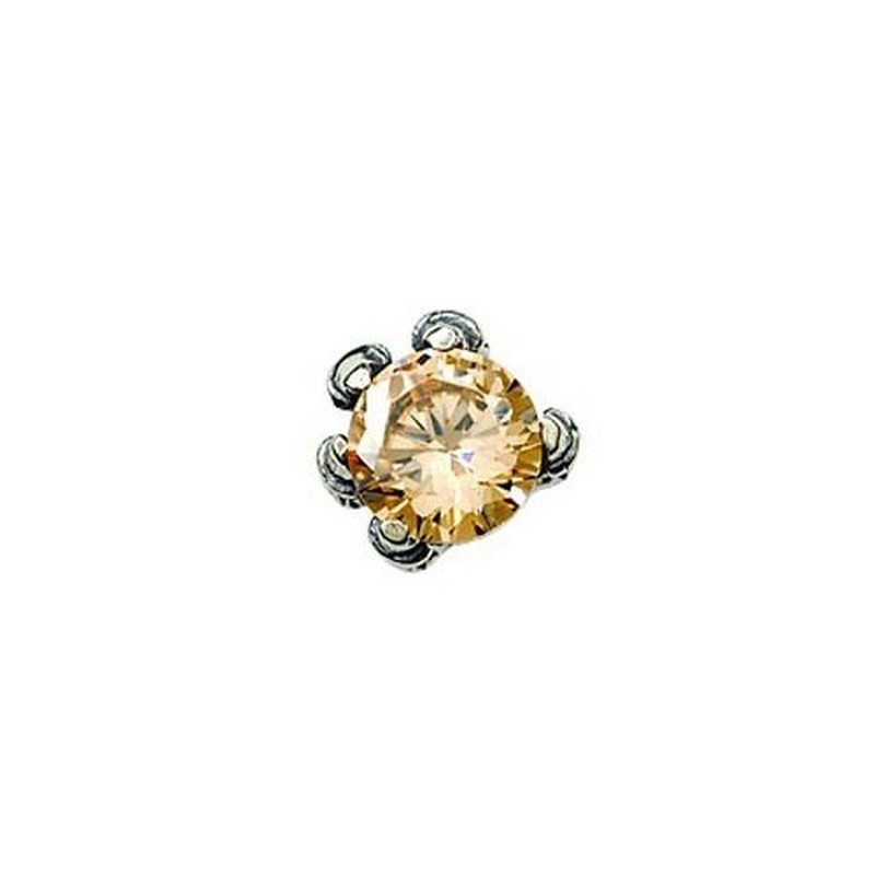 Popular Champagne Titanium Earrings