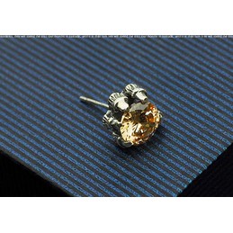Popular Champagne Titanium Earrings