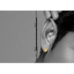 Popular Champagne Titanium Earrings